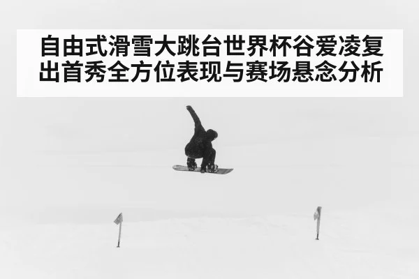 freestyle skiing big air(KAIYUN)