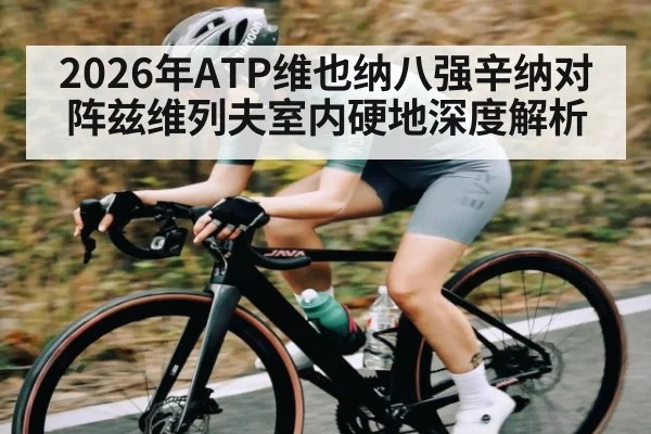2026年ATP维也纳八强辛纳对阵兹维列夫室内硬地深度解析